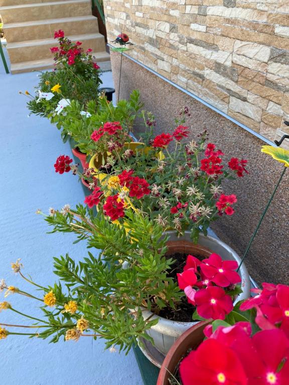 Vonkajšia záhrada v ubytovaní Spacious And Bright Two Bedroom Apartment With Outdoor Area
