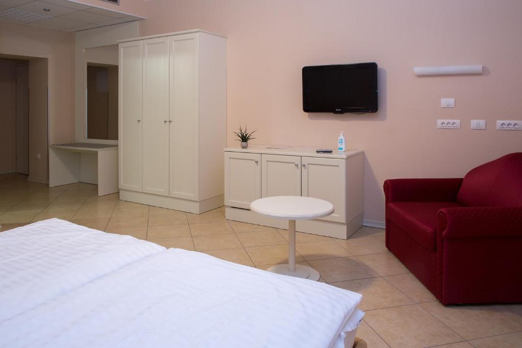TV a/nebo společenská místnost v ubytování Hotel Kozana