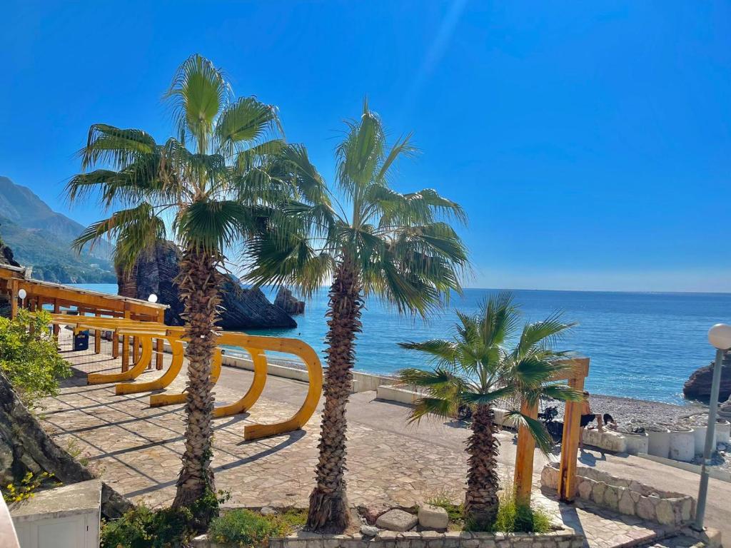 un gruppo di palme su una spiaggia con l'oceano di Sea view Apartments Rafailovici DOO PLAVA VILA a Budua