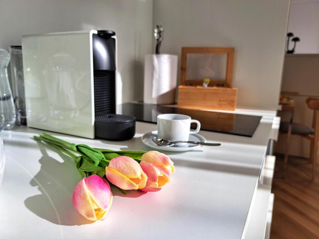 Kuchyňa alebo kuchynka v ubytovaní Hotel Domus Collis