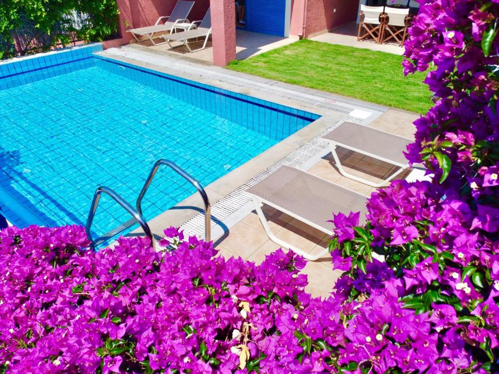 a swimming pool with purple flowers in front of it at Villa Barbati Pelagos with private pool by DadoVillas in Barbati