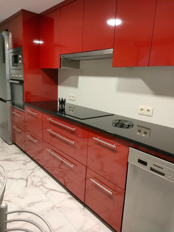 Kuchyň nebo kuchyňský kout v ubytování Villa Piomincha