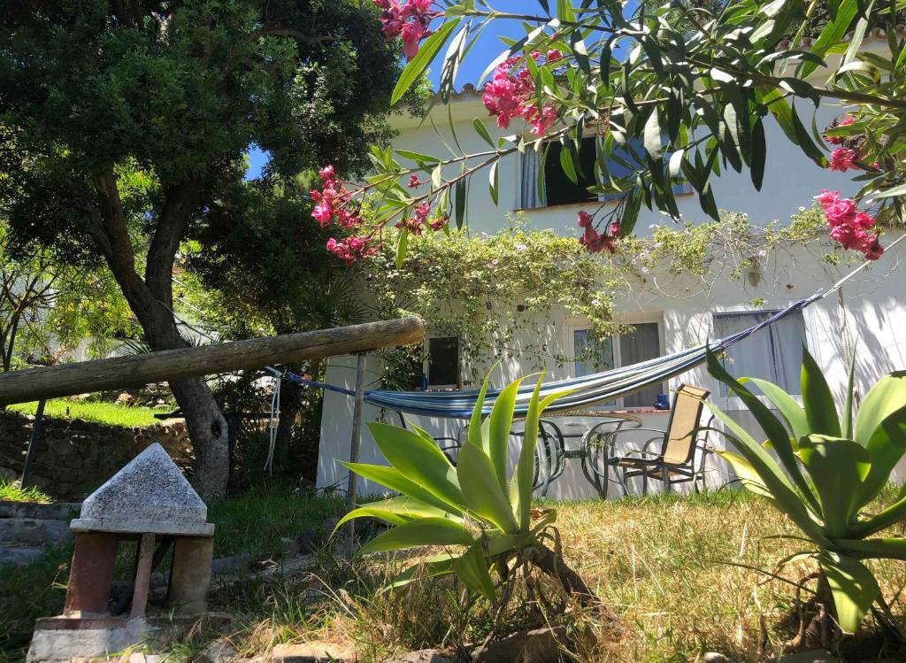a garden with a table and chairs and flowers at Casa Simba B&B in Estepona