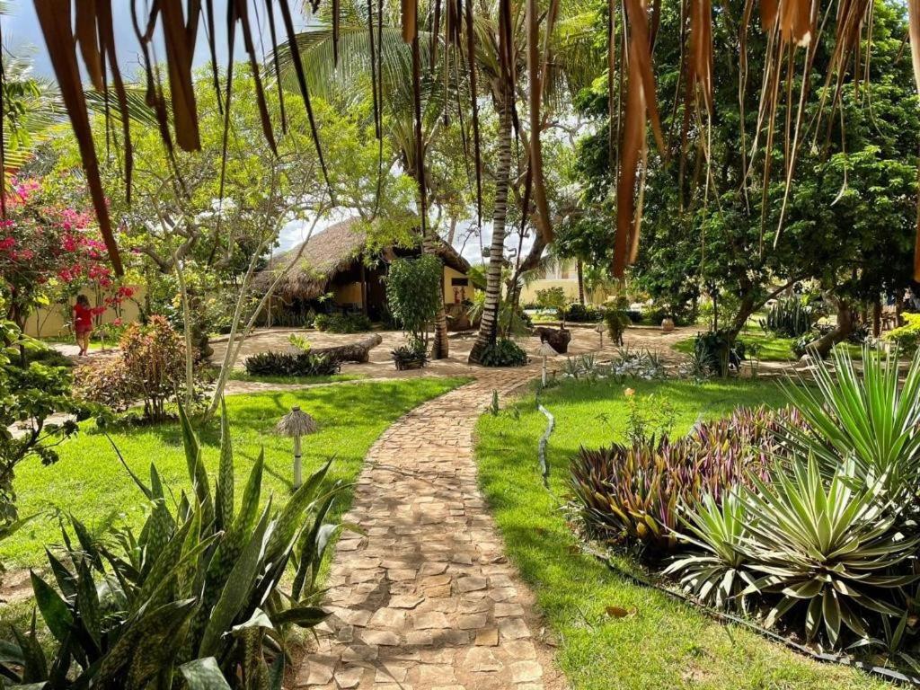 a path through a garden with plants and trees at Pousada Chica Pitanga in São Miguel do Gostoso