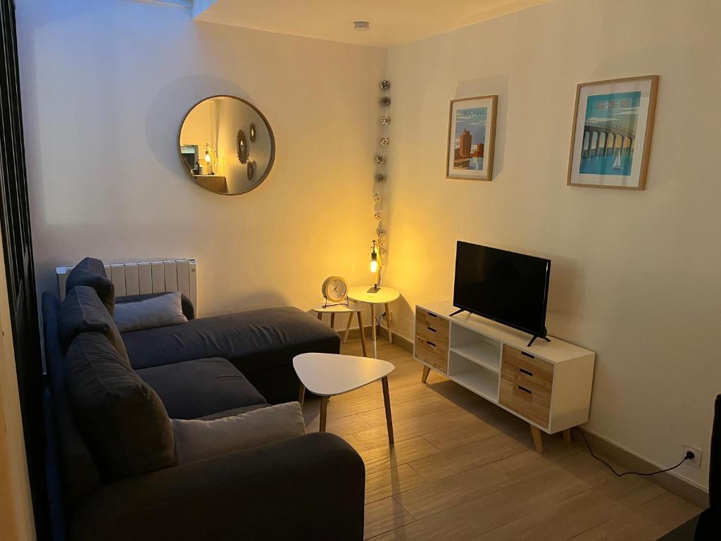 een woonkamer met een bank en een televisie bij Logement cosy avec terrasse privée hypercentre in La Rochelle