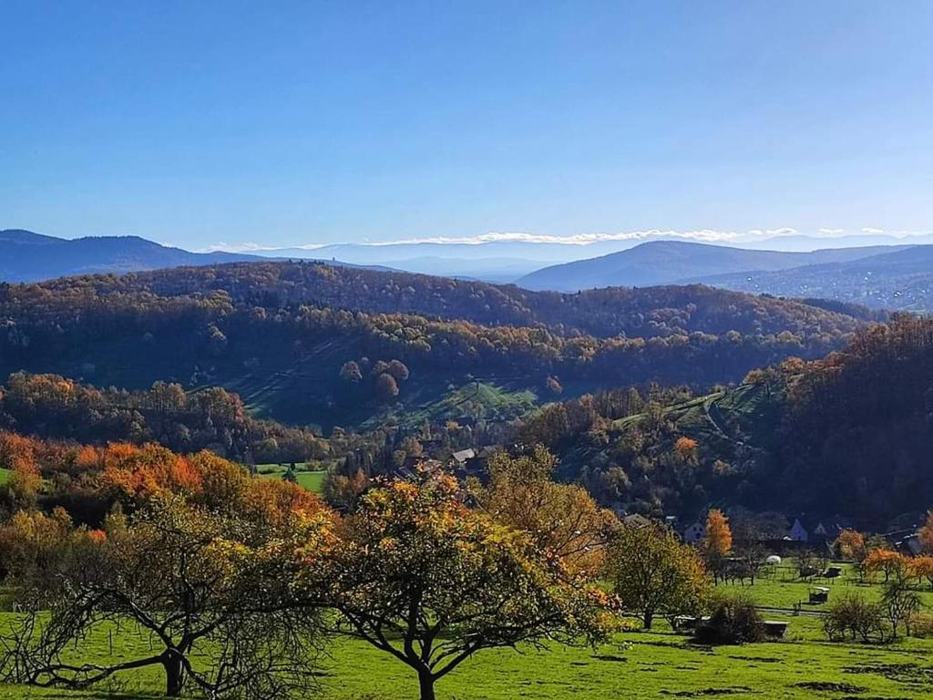 Naturlandschaft in der Nähe des Ferienhauses