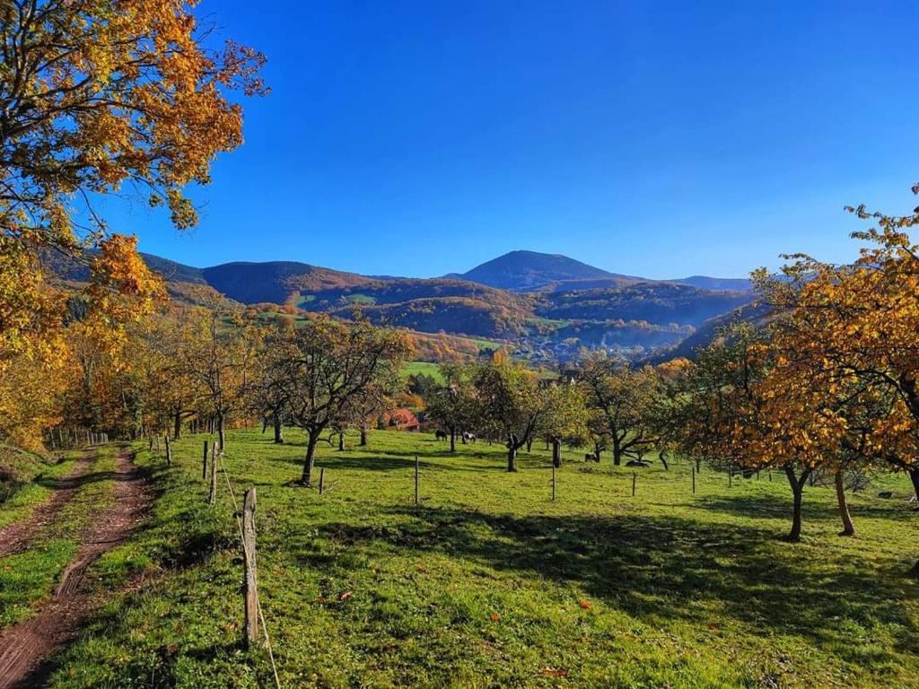 Naturlandschaft in der Nähe des Ferienhauses