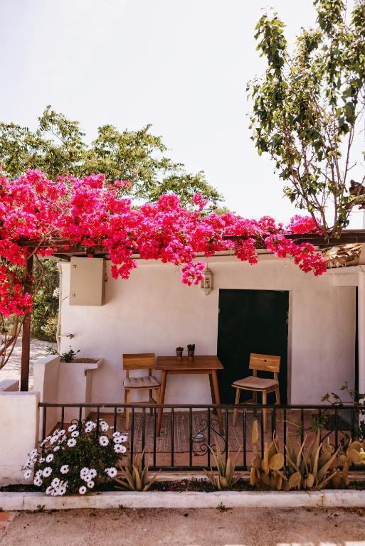 Finca Serrato - 山景公寓