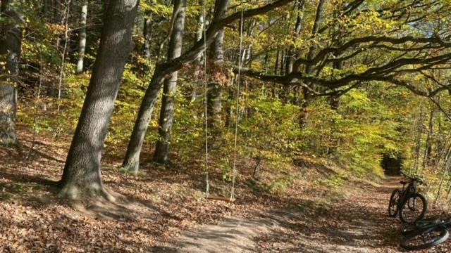 Hosté ubytování Waldfrieden Ferienhaus mit SAUNA