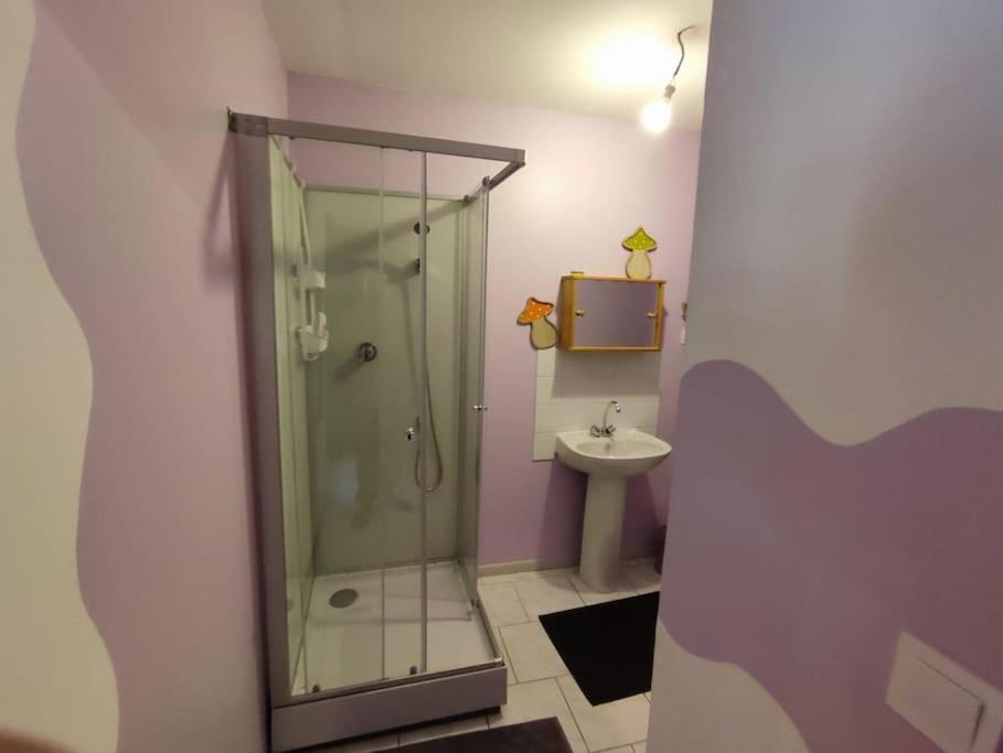 łazienka z prysznicem i umywalką w obiekcie Maison individuelle 60 m² w mieście Le Cateau