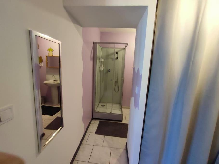 małą łazienkę z prysznicem i lustrem. w obiekcie Maison individuelle 60 m² w mieście Le Cateau