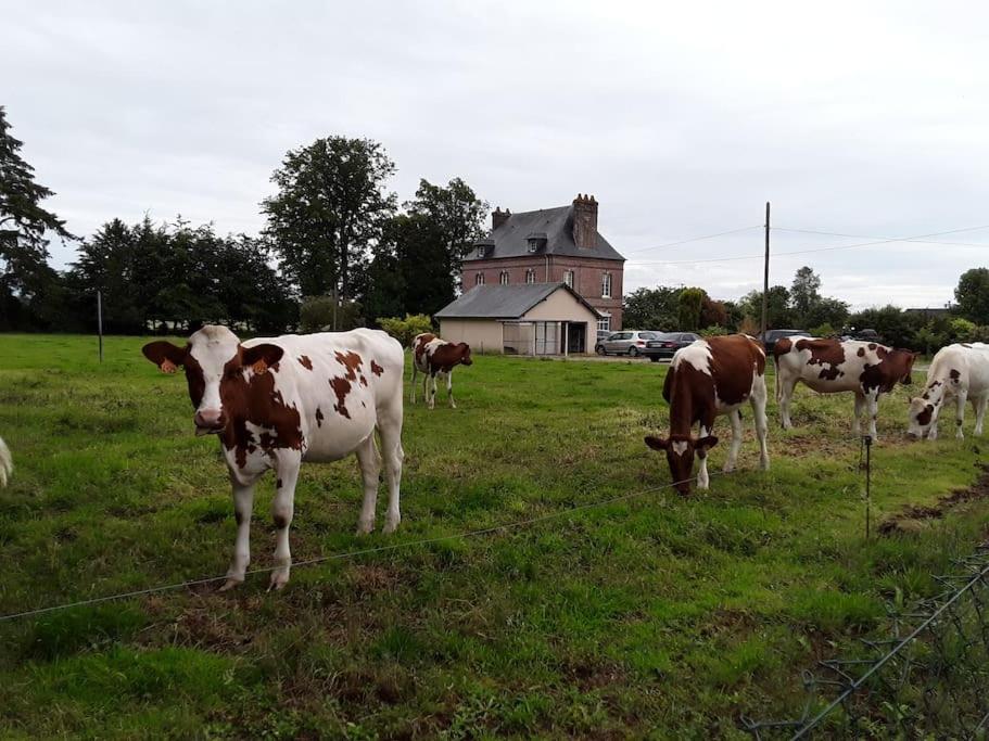 Animales en la casa o chalet o alrededores