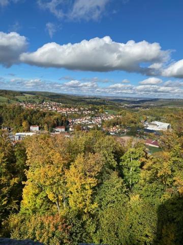 Příroda nedaleko apartmánu