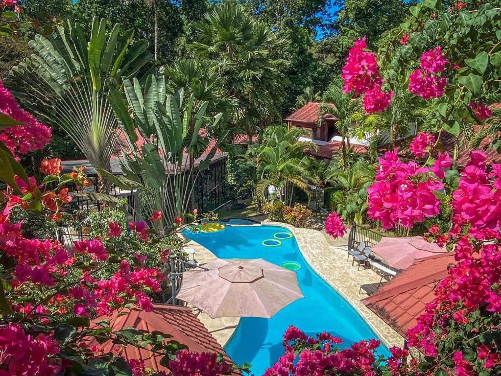 una piscina del complejo con sombrilla y flores rosas en The Scarlet Villas, en Ojochal