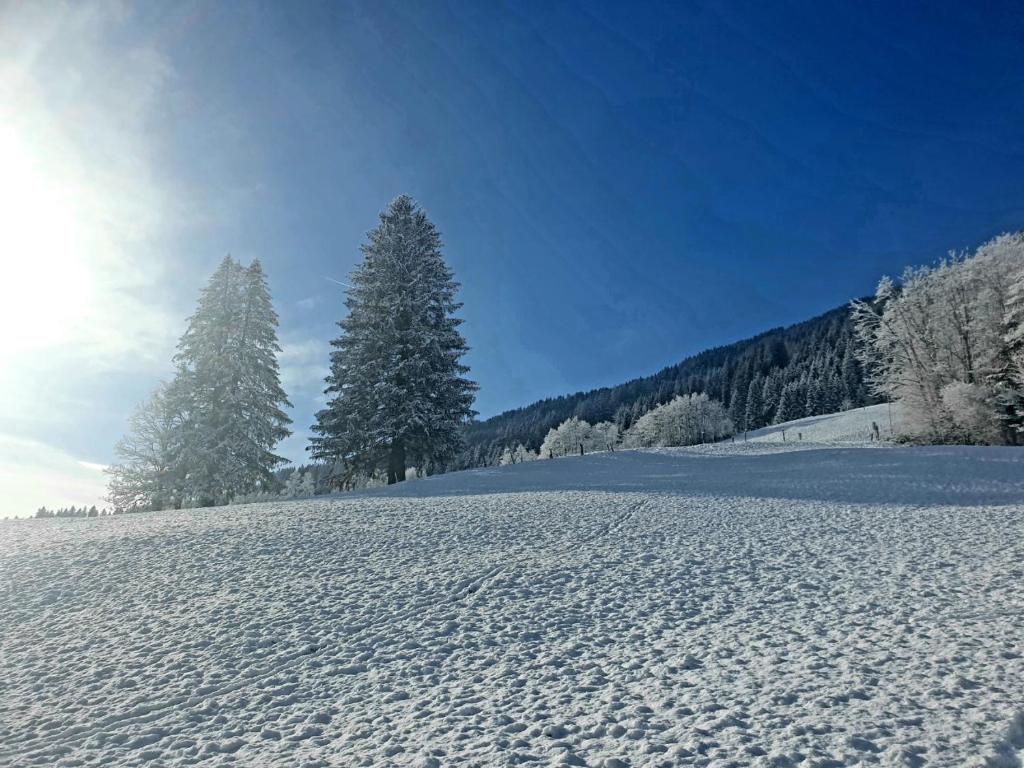 Fotografia z galérie ubytovania Unterbiberghof v destinácii Saalfelden am Steinernen Meer
