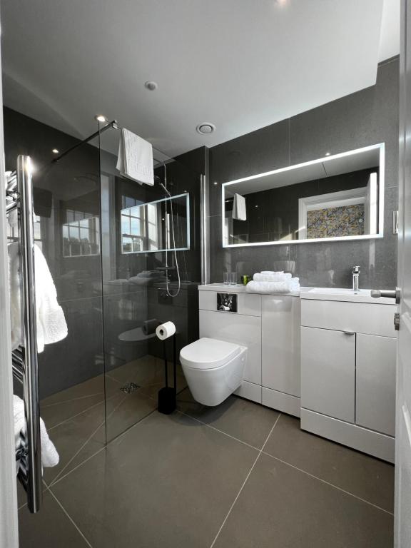 een badkamer met een toilet, een wastafel en een douche bij The Bulls Head Inn in Ewhurst