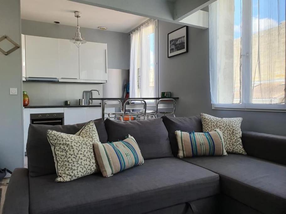 een grijze bank met kussens in de woonkamer bij Le Bourbon in Bordeaux