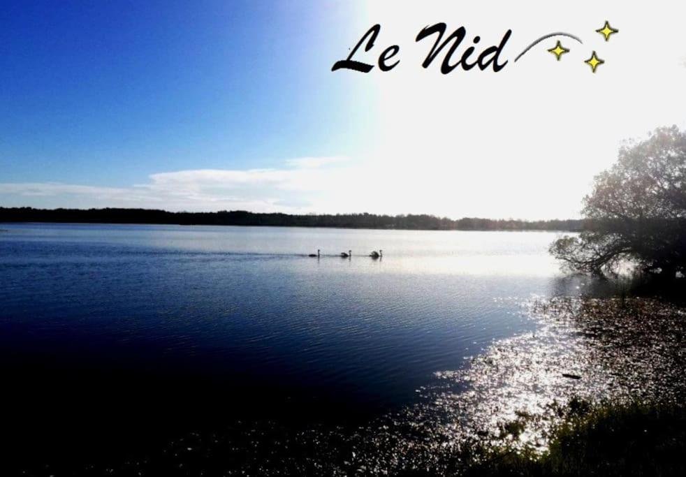 a lake with some ducks in the water at Le Nid in Aureilhan