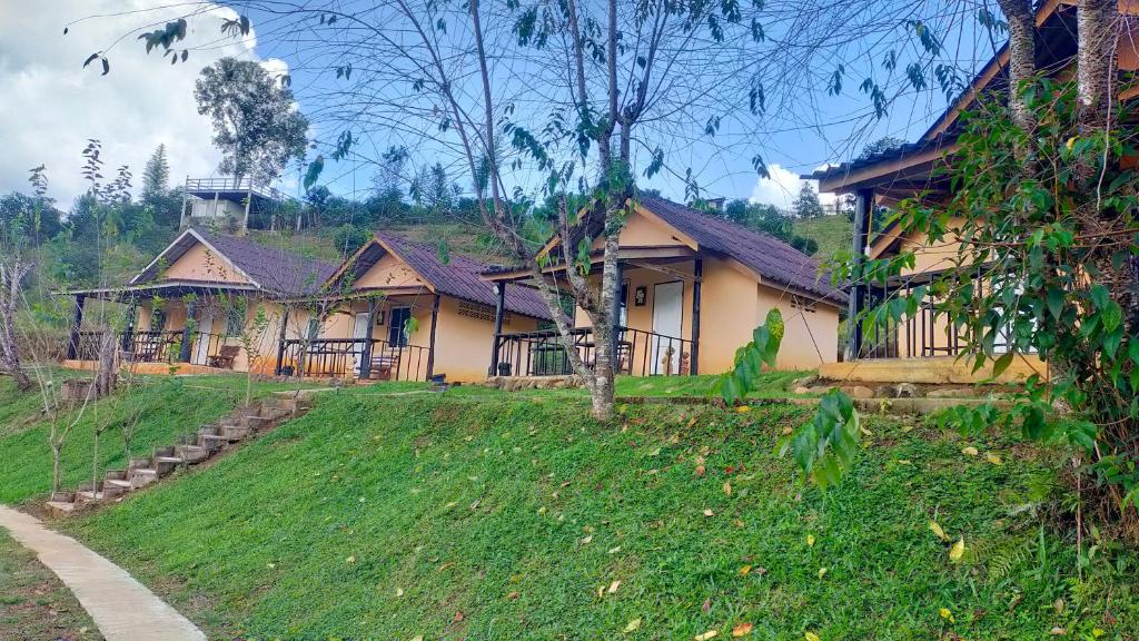 a house on a grassy hill next to a building at Mong Homestay Resort in Pang Ung