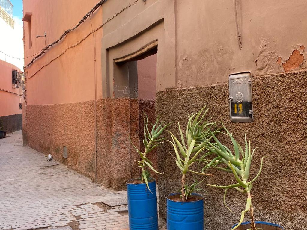 Fotografie z fotogalerie ubytování Riad Papadou v Marrákéši