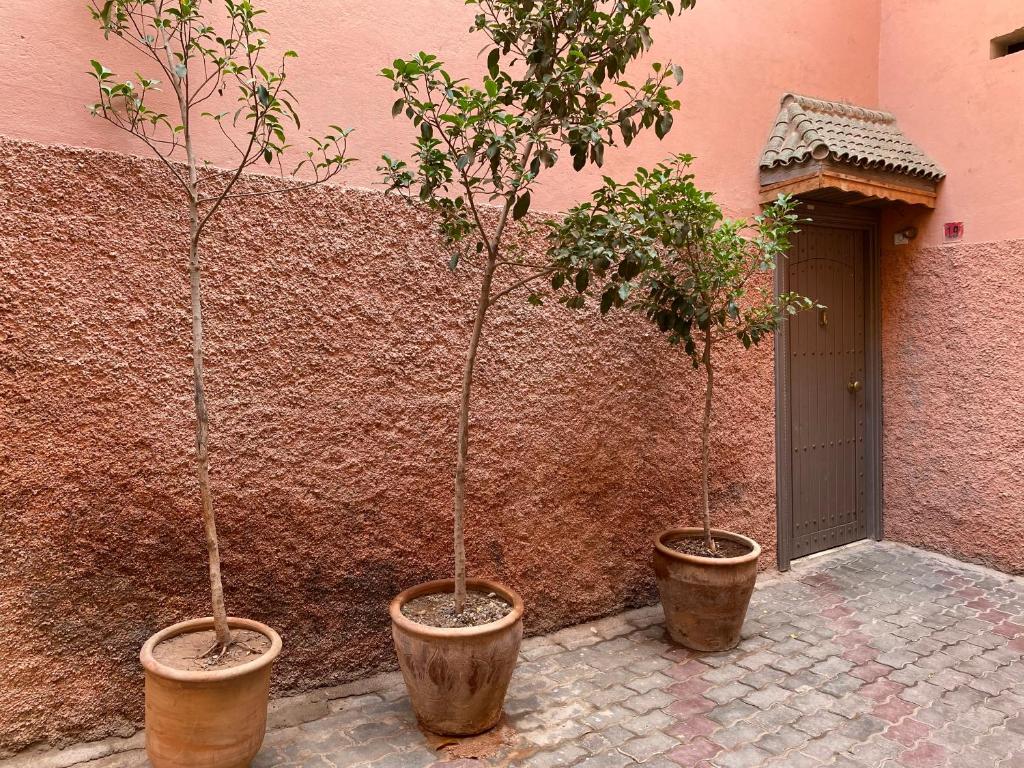 Fotografie z fotogalerie ubytování Riad Papadou v Marrákéši