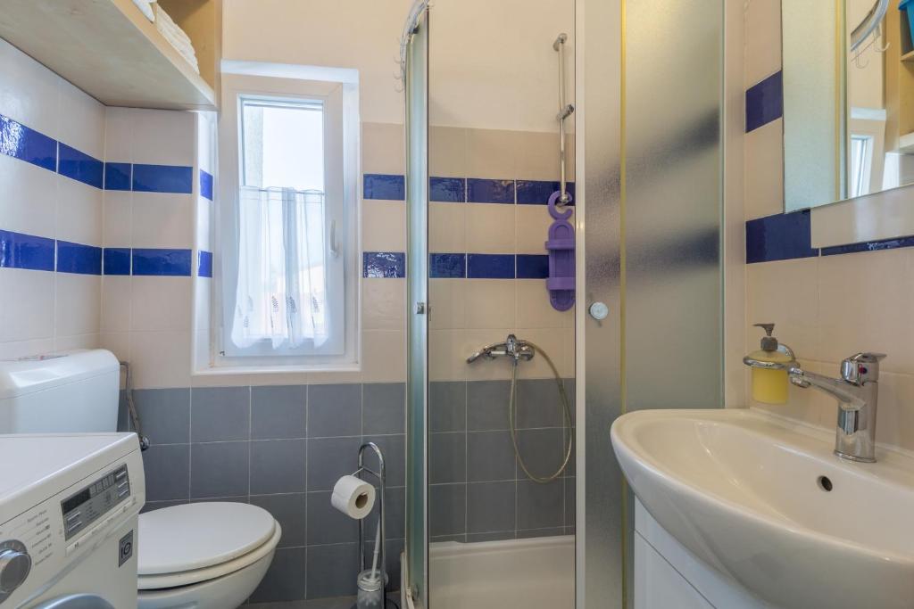 a bathroom with a shower and a toilet and a sink at Apartments with a parking space Karigador, Novigrad - 2534 in Karigador