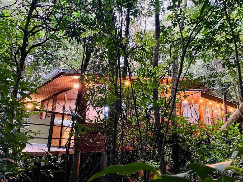 a house in the woods with lights in the trees at Cabañas La Montaña Mountain Lodge in Monteverde Costa Rica