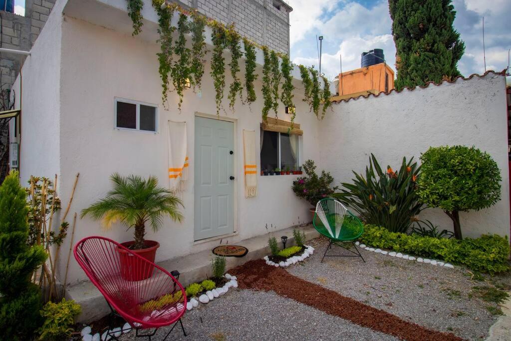 ¡NUEVA! Bamboo LA TEPOZTECA (Magia & Tradición) - Housity