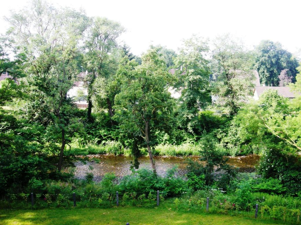 Příroda nedaleko bed and breakfast