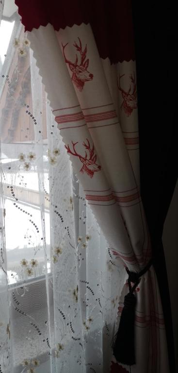 Apartamenty U Paliderki - 6