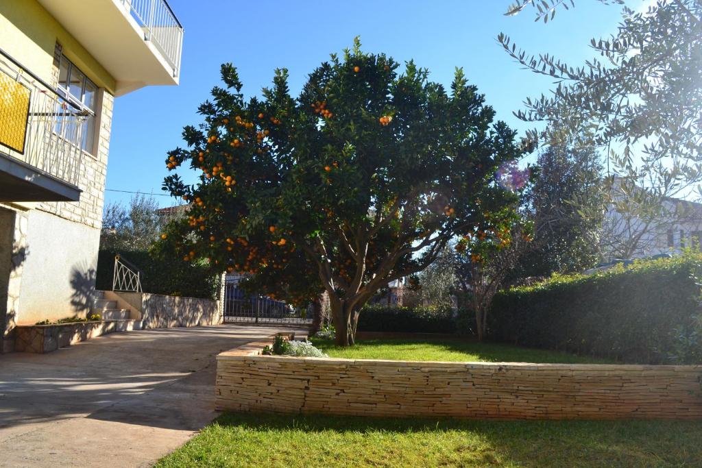 Apartments Angie - 6