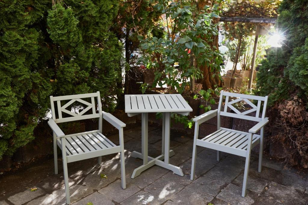 Humboldt41 - Resim 33