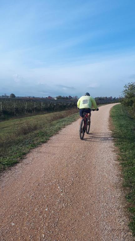 Hosté ubytování Sulla Ciclabile Apartment lungo il fiume Adige