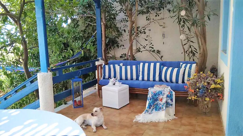 a blue couch with a dog standing in a room at A Cretan house in a garden,overlooking the sea. in Ierapetra
