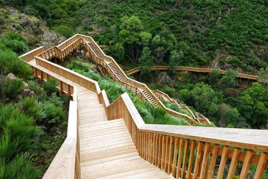 un puente de madera con escaleras en una colina con árboles en Apartamento Luxury Mira Espanha na Guarda, en Guarda