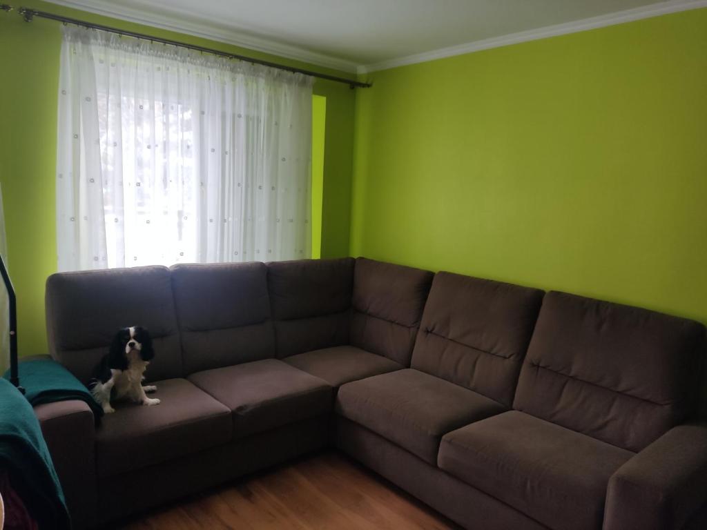 kanapę w salonie z psem siedzącym na niej w obiekcie Przy Parku w mieście Jarosław