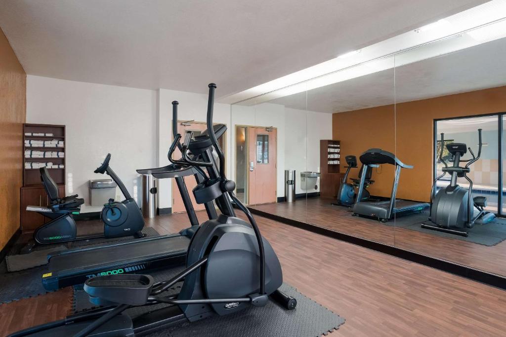 Comfort Suites Suffolk - Chesapeake photo