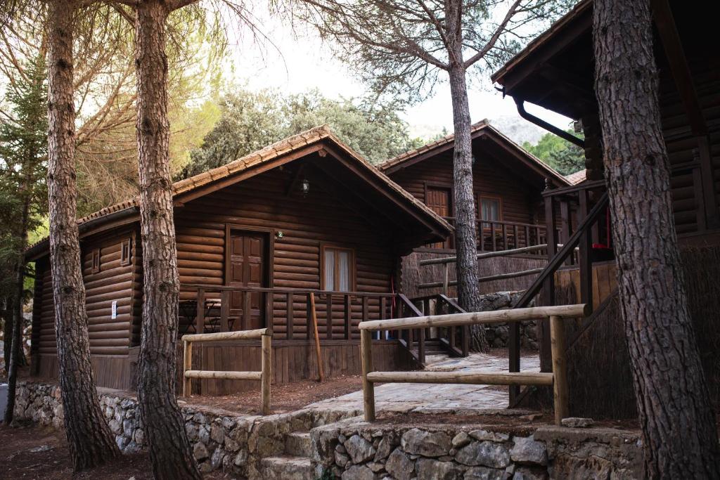 una cabaña de madera con una escalera delante de ella en Camping TajoRodillo en Grazalema