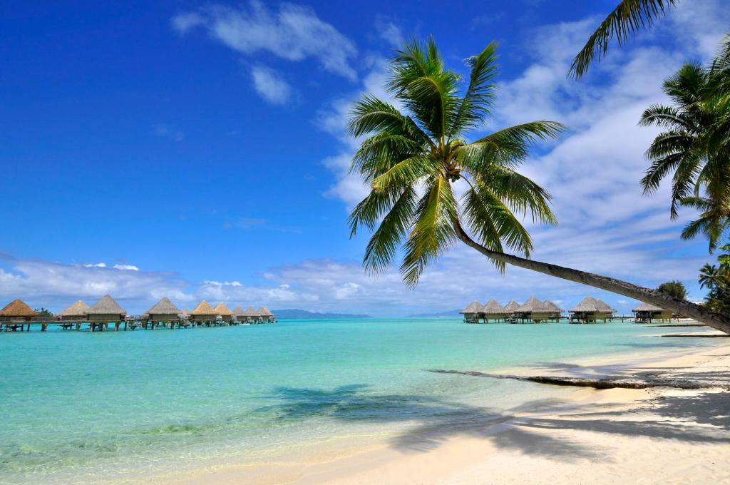 InterContinental Bora Bora Le Moana Resort by IHG photo