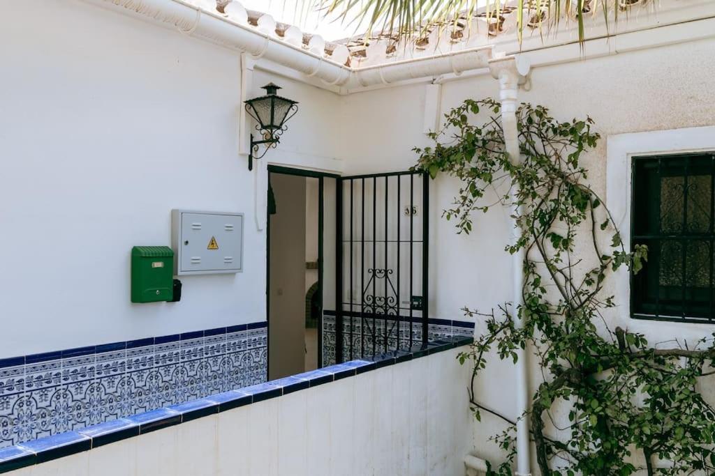 Zdjęcie z galerii obiektu Oasis 16 w mieście Nerja