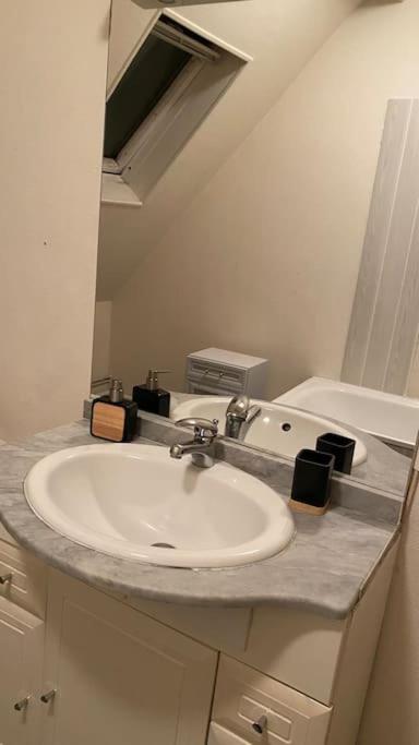 Koupelna v ubytování Charmant appartement dans l’Orne !