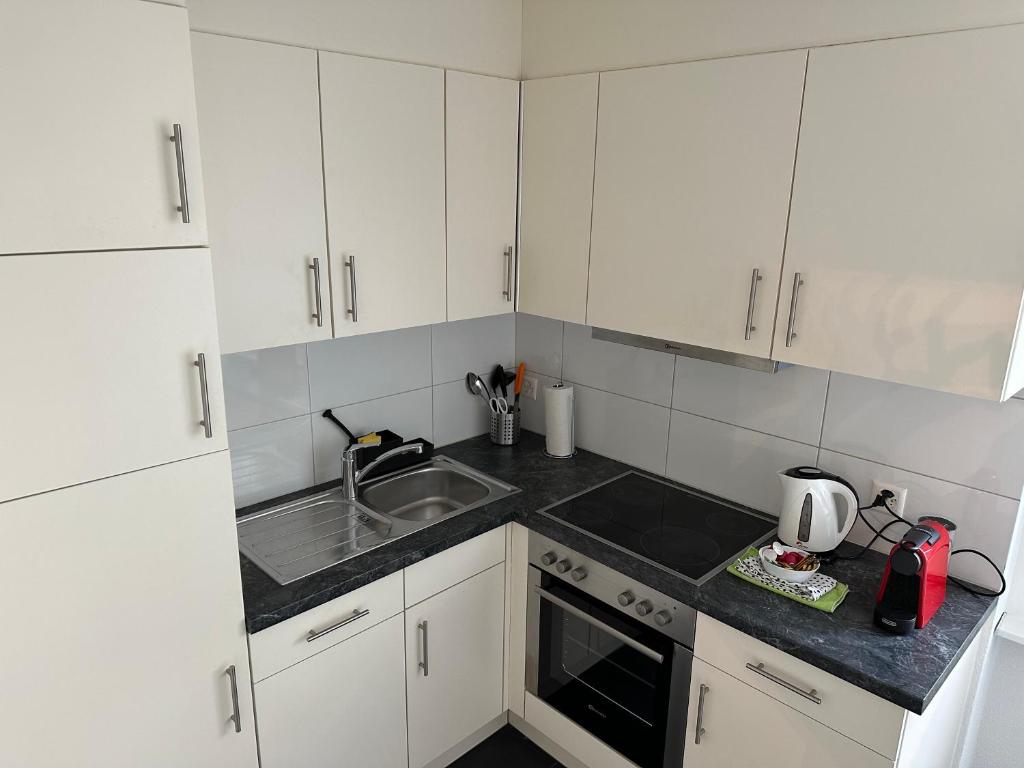 Kuchyň nebo kuchyňský kout v ubytování Galaxy Apartments Lucerne