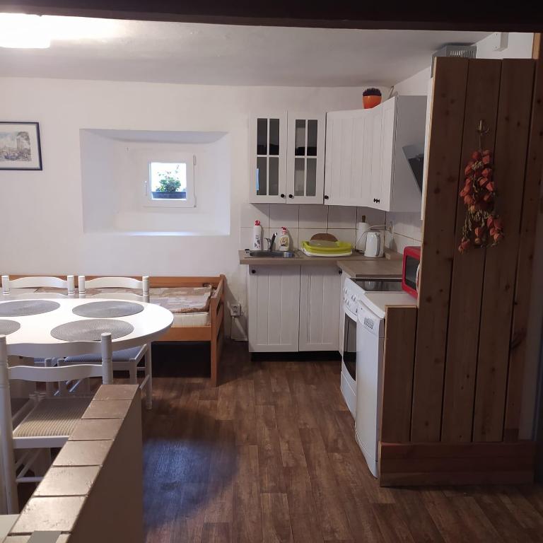 Kuchyň nebo kuchyňský kout v ubytování Apartmán Dvorečná