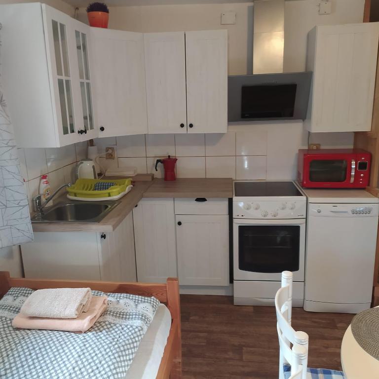 Kuchyň nebo kuchyňský kout v ubytování Apartmán Dvorečná