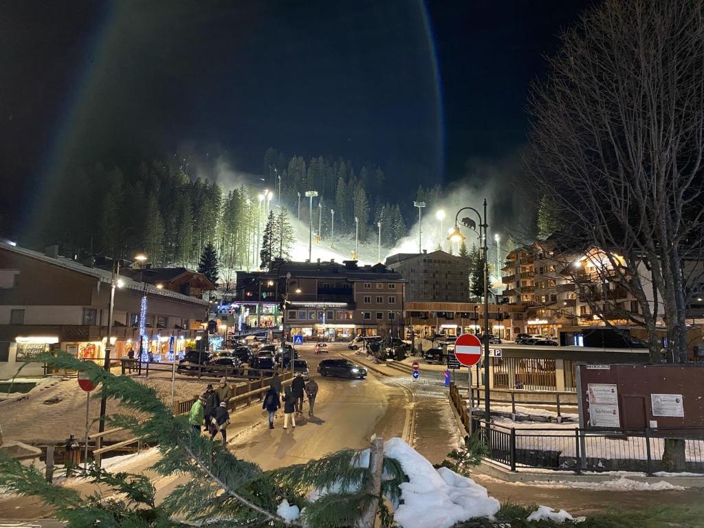 Des Alpes C Flat 11 v zime