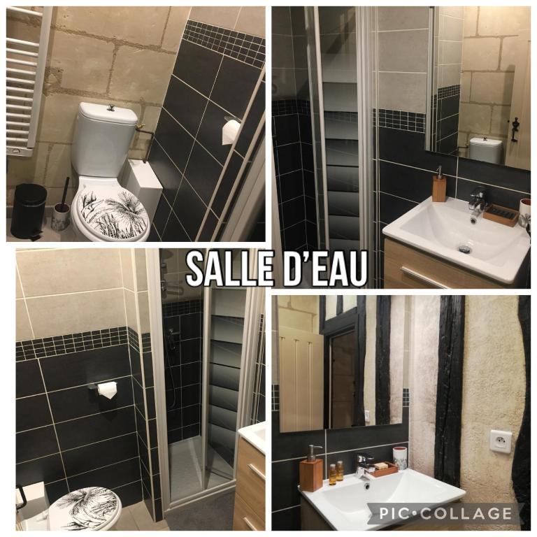 a collage of pictures of a bathroom with a sink and a mirror at Vieux Tours, Charmant T2 40m2, 4 pers, lumineux in Tours