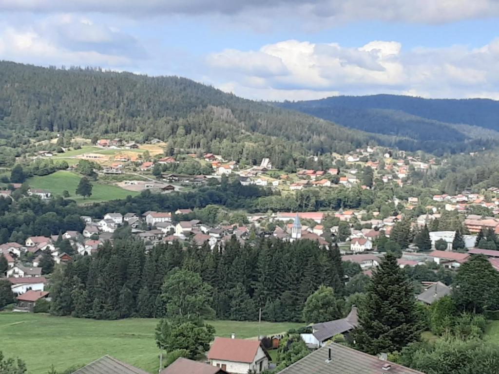 Příroda nedaleko apartmánu