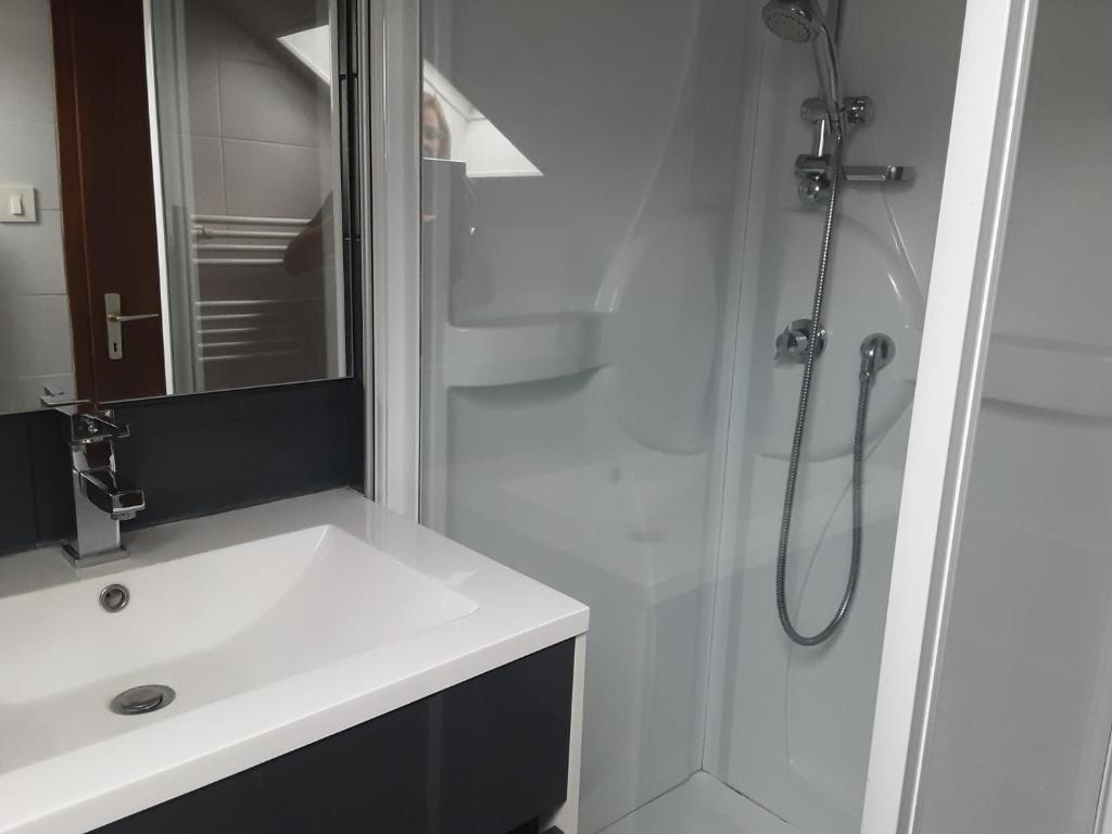 Koupelna v ubytování Appartement du parc