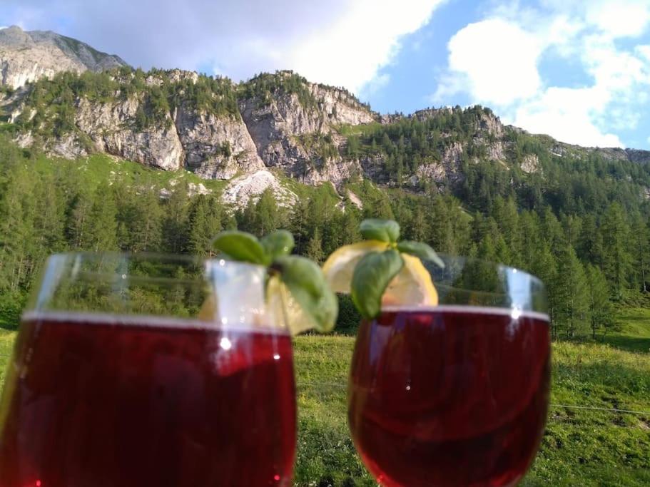 dos copas de vino tinto con una montaña en el fondo en Chalet Sennhütte Obertauern mit Zirbensauna und neuem XL Bad, en Obertauern