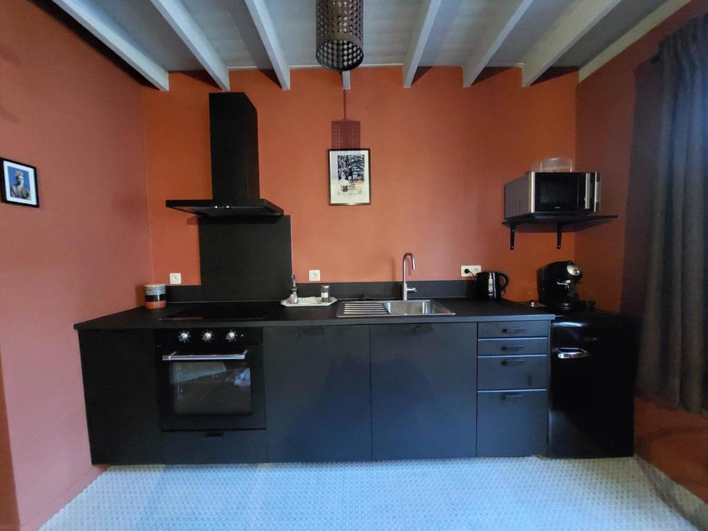 Cuisine ou kitchenette dans l'établissement La Petite Histoire gîtes-appartements